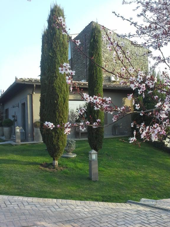 Residenza Teodorico Re B&B Viterbo Luaran gambar