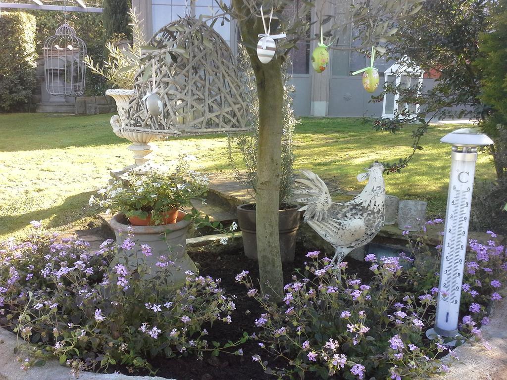 Residenza Teodorico Re B&B Viterbo Luaran gambar